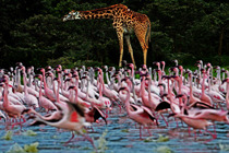 ��(sh��)�Ŀ��၆���f�����B�w����^����