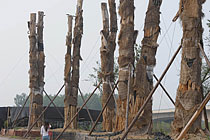 ���պϷ�98����r(ji��)�Ř�(sh��)���w����