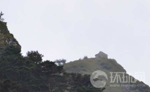 �Y�ψD����ӡ߅����ӡ܊����