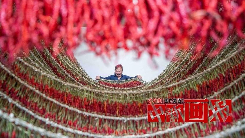 曬秋時(shí)間到！遍地斑斕好“豐”景