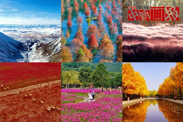 【圖刊】初冬至 大自然多彩冬衣“上新”啦！