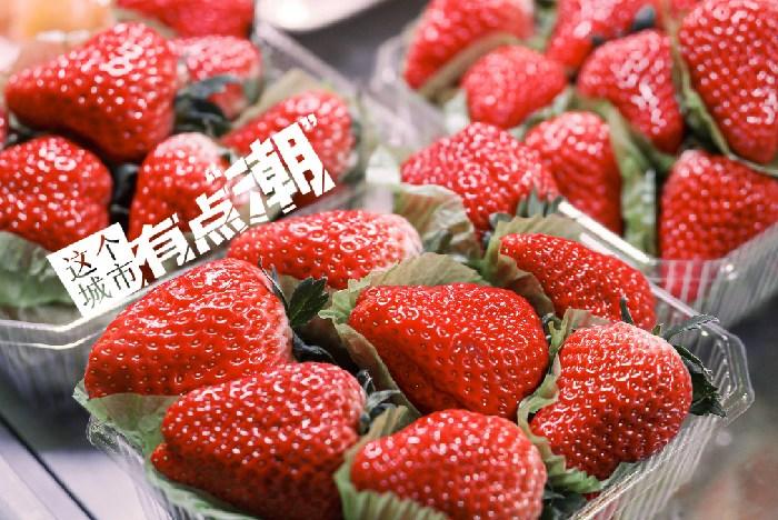 丹東：這一口鮮甜，開啟冬日“莓”好時(shí)光