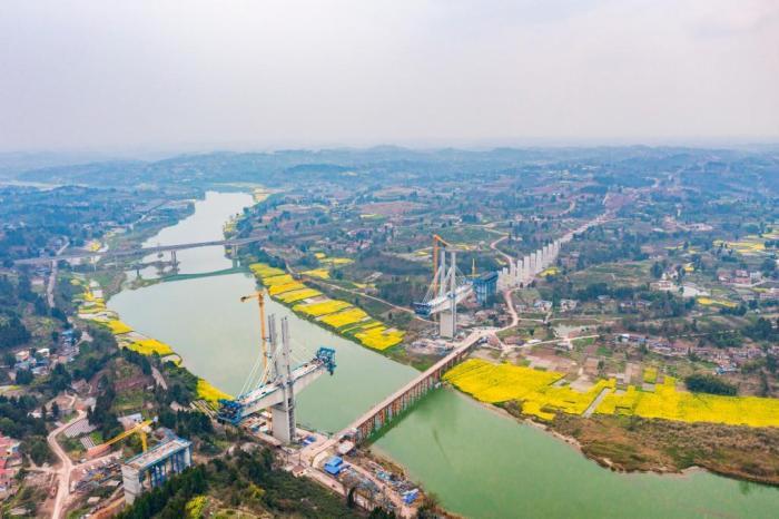 沱江河畔油菜花?！吧暇€”