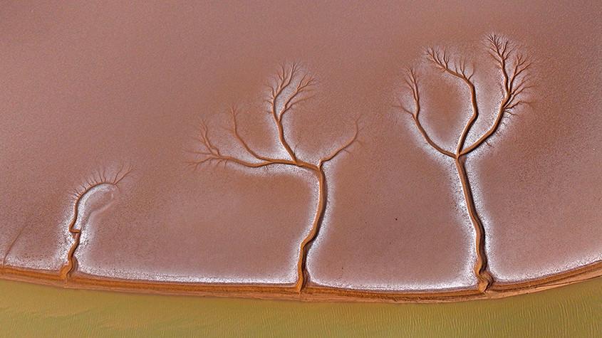 黃河入?？跐竦噩F(xiàn)“潮汐樹”景觀