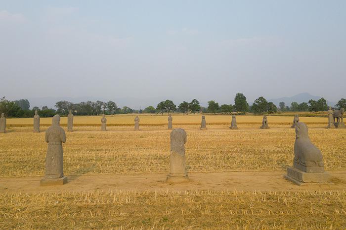河南鞏義北宋皇陵小麥金黃