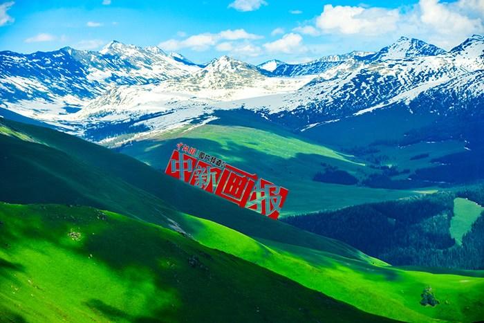 將夏天的“綠” 裝進屏幕里，一組護眼壁紙請查收！