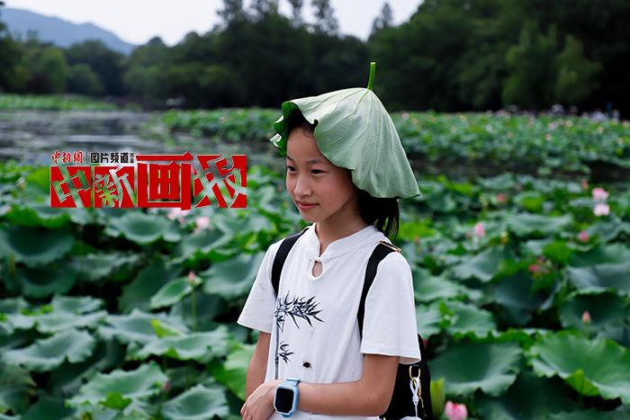 入伏有“涼”方 “花式”避暑輕松Get！