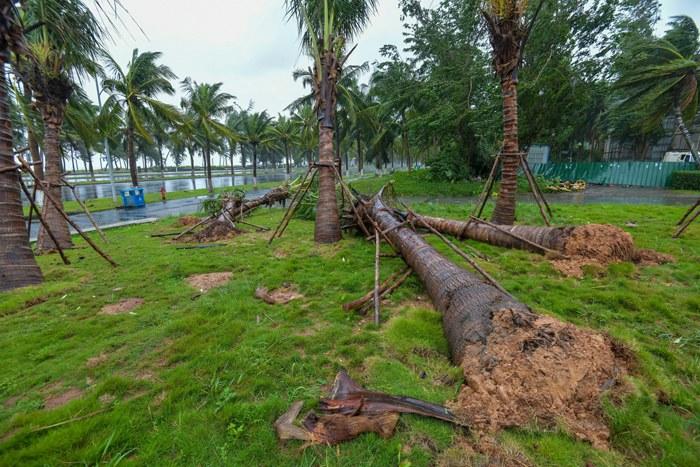 強(qiáng)臺風(fēng)“麥德姆”攜強(qiáng)風(fēng)雨影響?？?>
     <p>強(qiáng)臺風(fēng)“麥德姆”攜強(qiáng)風(fēng)雨影響海口</p>
</a><a href=