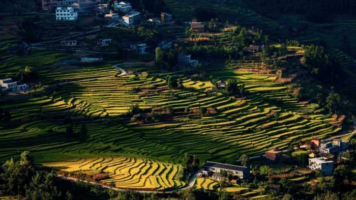 航拍陜西漢陰古梯田 秋景如畫(huà)