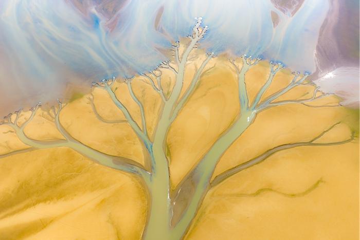 江西進(jìn)賢：鄱陽湖灘涂現(xiàn)“大地之樹”景觀