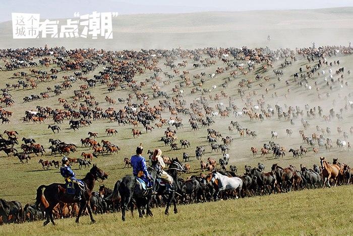 “含馬量”超高的塞外小城