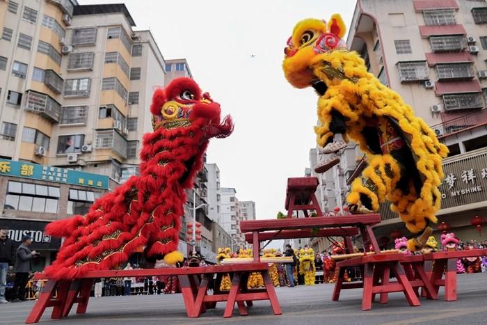 百頭雄獅舞動(dòng)廣東南雄迎新春