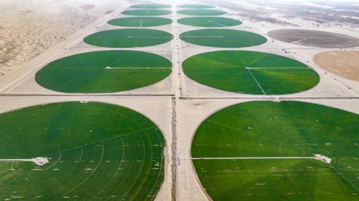 沙地變良田 塔克拉瑪干沙漠邊緣現(xiàn)“綠色圓盤”