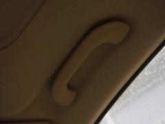 ����(n��i)��ÿ����nϵ܇���w�Forte�����