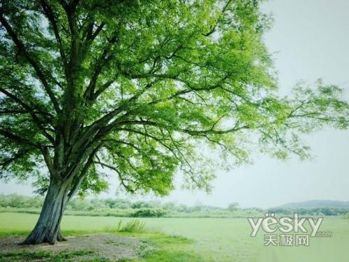 ���ص�s܊�F(tu��n) �������(li��n)��ThinkPad T400s