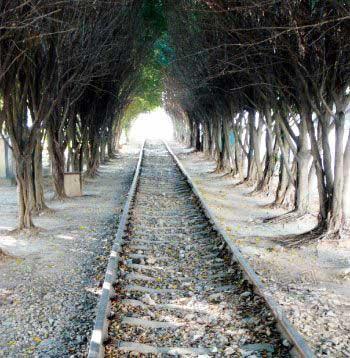 ��(sh��)��������F���ıM�^