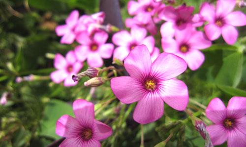 ���ܔ�(sh��)�a���C(j��)�Ј� ���M(f��i)���P(gu��n)ע��ǰʮ��C(j��)