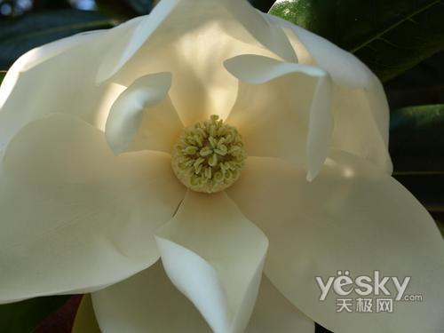 ʮһ���Ό��I(y��)֮�x �Ј�(ch��ng)���T�η����C(j��)���]