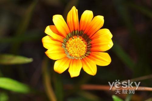 ʮһ���Ό��I(y��)֮�x �Ј����T�η����C(j��)���]