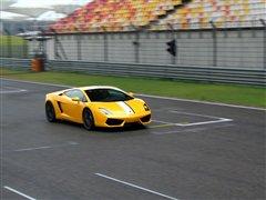 ���(q��)�Uţ���w�(y��n)�m������LP550-2������ ��܇֮��