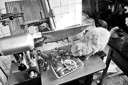 �и�õ���Ƭ�������ϵİ�ɫ�����؈���f����������Ƭ��ؓ؟(z��)�и���Ƭ��Ů�Ӵ󲿷֕r��ҕ����Ҋ ���M�DƬ ����ӛ�� ���� �z