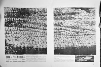 ��(d��ng)��İ׹��������޷���