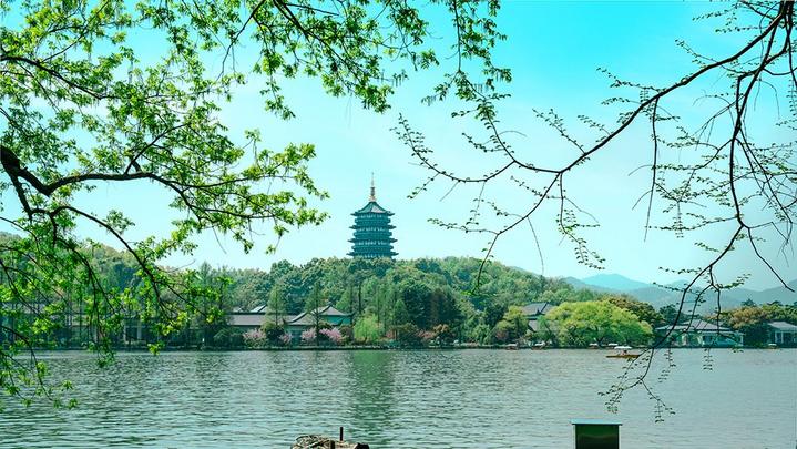 江山如此多嬌 | 西湖美景，八月天吶