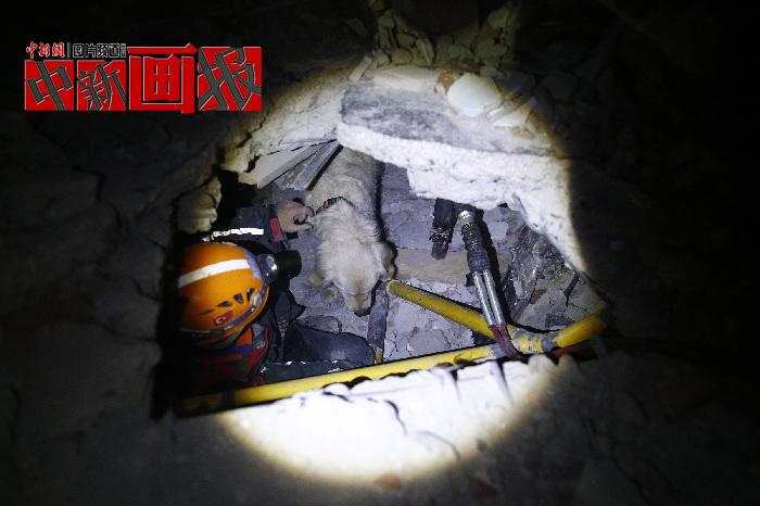 汪汪隊(duì)立大功！廢墟中尋找生命之光的搜救犬