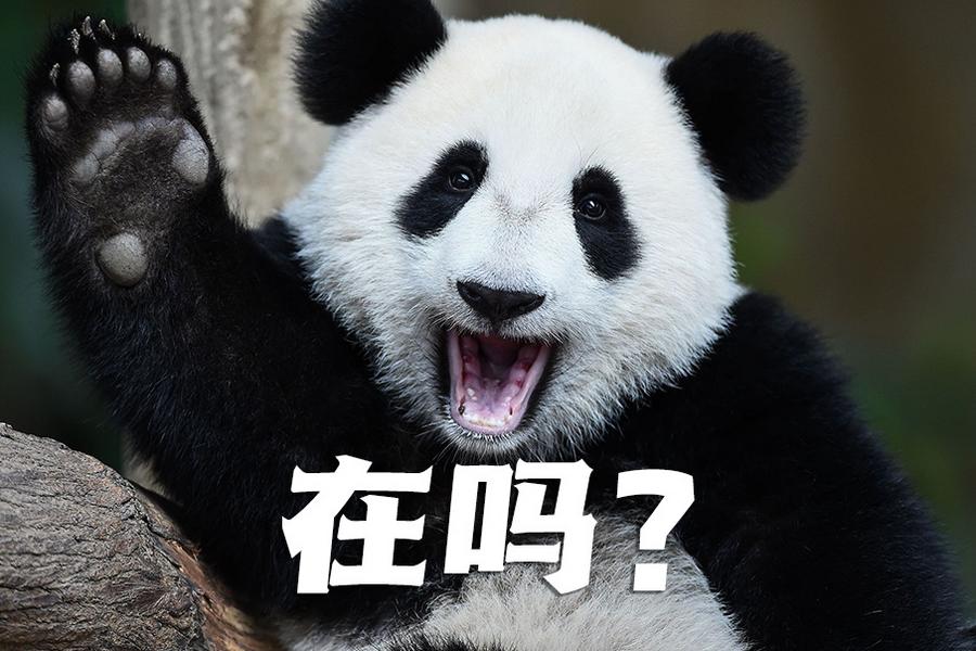 【世界微笑日特刊】嘿嘿，今天你笑了嗎？